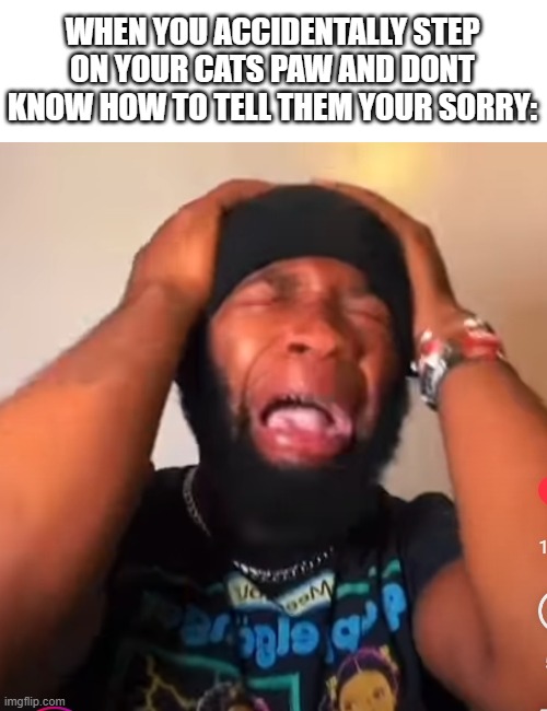 traumatizing | WHEN YOU ACCIDENTALLY STEP ON YOUR CATS PAW AND DONT KNOW HOW TO TELL THEM YOUR SORRY: | image tagged in cat,pets,meme,memes,funny,relatable | made w/ Imgflip meme maker