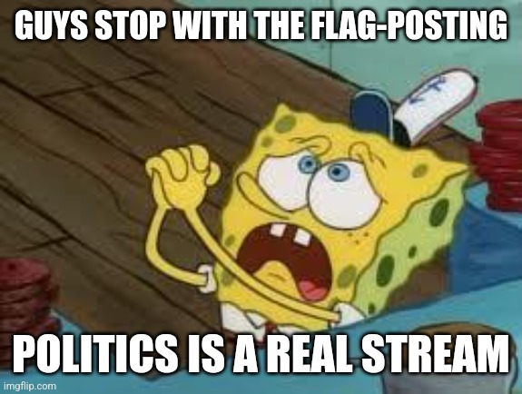Begging BOB Fix EUW | GUYS STOP WITH THE FLAG-POSTING; POLITICS IS A REAL STREAM | image tagged in begging bob fix euw | made w/ Imgflip meme maker