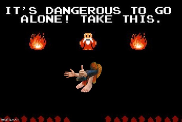 Dangerous to go alone | image tagged in dangerous to go alone | made w/ Imgflip meme maker