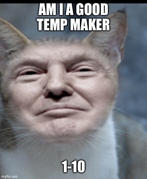 Donald trump cat | AM I A GOOD TEMP MAKER; 1-10 | image tagged in donald trump cat | made w/ Imgflip meme maker