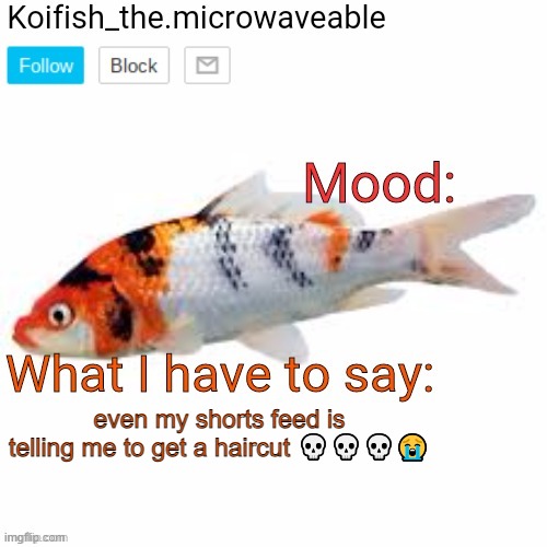 Koifish_the.microwaveable announcement | even my shorts feed is telling me to get a haircut 💀💀💀😭 | image tagged in koifish_the microwaveable announcement | made w/ Imgflip meme maker