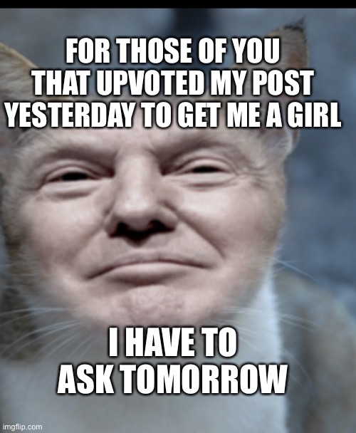 Donald trump cat | FOR THOSE OF YOU THAT UPVOTED MY POST YESTERDAY TO GET ME A GIRL; I HAVE TO ASK TOMORROW | image tagged in donald trump cat | made w/ Imgflip meme maker