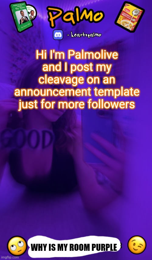 I will NOT let this slide bc im waaaaay to petty | Hi I'm Palmolive and I post my cleavage on an announcement template just for more followers; WHY IS MY ROOM PURPLE | image tagged in follow me plsss | made w/ Imgflip meme maker