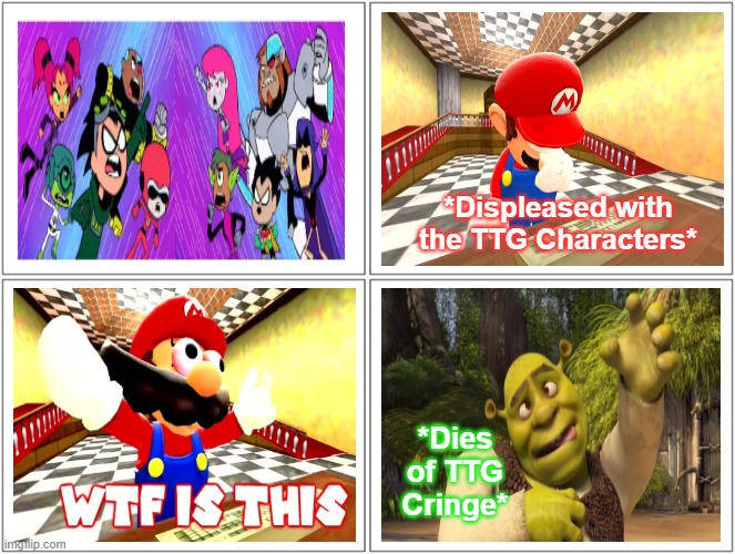 High Quality SMG4 Mario Says WTF To Teen Titans GO! Characters Ft. Shrek Blank Meme Template