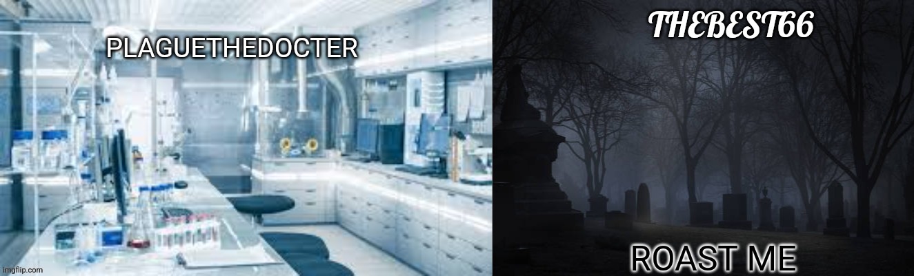 Plaguethedocter and Thebest66 | ROAST ME | image tagged in plaguethedocter and thebest66 | made w/ Imgflip meme maker