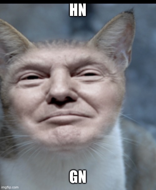 FUCK autocorrect is a pice of shit | HN; GN | image tagged in donald trump cat | made w/ Imgflip meme maker
