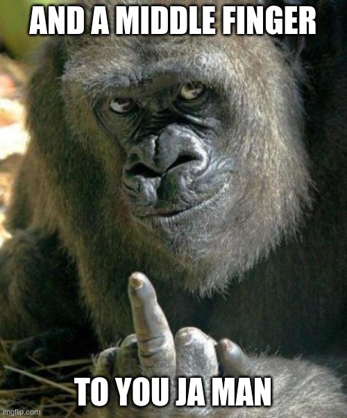 gorilla middle finger | AND A MIDDLE FINGER TO YOU JA MAN | image tagged in gorilla middle finger | made w/ Imgflip meme maker