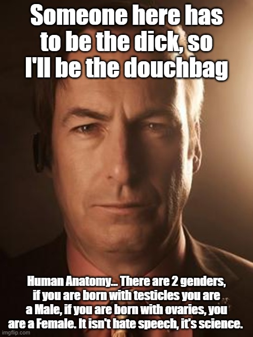 Saul Goodman | Someone here has to be the dick, so I'll be the douchbag; Human Anatomy... There are 2 genders, if you are born with testicles you are a Male, if you are born with ovaries, you are a Female. It isn't hate speech, it's science. | image tagged in saul goodman | made w/ Imgflip meme maker