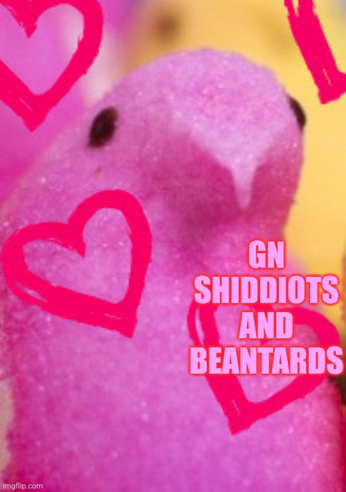 I love most of you, especially hidden rebal lead | GN SHIDDIOTS AND BEANTARDS | image tagged in majik peeps valentines 2 | made w/ Imgflip meme maker