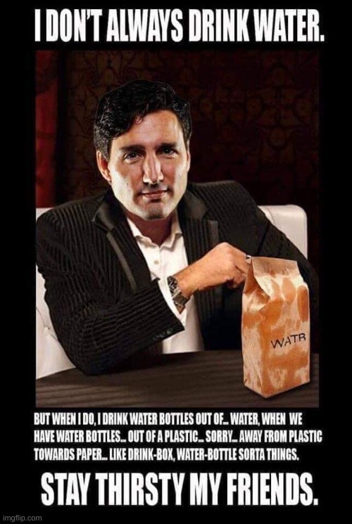 The Kamala of Canada | made w/ Imgflip meme maker