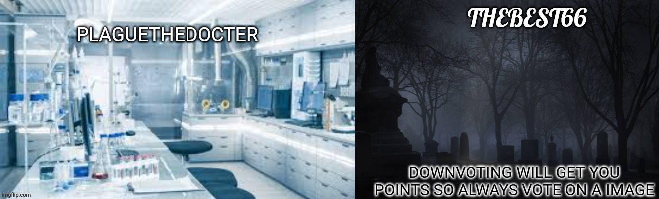 Plaguethedocter and Thebest66 | DOWNVOTING WILL GET YOU POINTS SO ALWAYS VOTE ON A IMAGE | image tagged in plaguethedocter and thebest66 | made w/ Imgflip meme maker