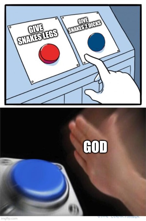 two buttons 1 blue | GIVE SNAKES 2 DICKS; GIVE SNAKES LEGS; GOD | image tagged in two buttons 1 blue | made w/ Imgflip meme maker