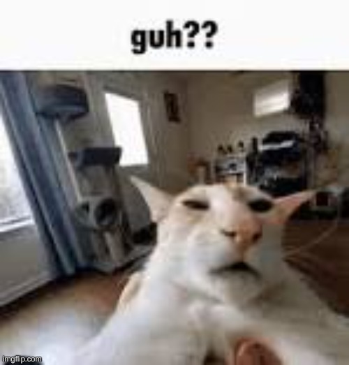 guh?? | made w/ Imgflip meme maker