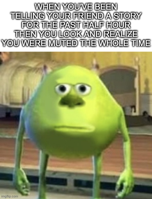 Be honest, this has happened to everyone at least once | WHEN YOU'VE BEEN TELLING YOUR FRIEND A STORY FOR THE PAST HALF HOUR THEN YOU LOOK AND REALIZE YOU WERE MUTED THE WHOLE TIME | image tagged in mike wazowski face swap,phone call,discord,mute | made w/ Imgflip meme maker