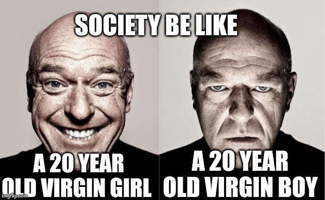 why society | SOCIETY BE LIKE; A 20 YEAR OLD VIRGIN GIRL; A 20 YEAR OLD VIRGIN BOY | image tagged in hank,virgin | made w/ Imgflip meme maker