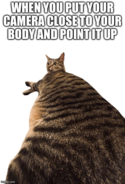 Yo I'm huge! No wait... | WHEN YOU PUT YOUR CAMERA CLOSE TO YOUR BODY AND POINT IT UP | image tagged in camera,cat,camera angles | made w/ Imgflip meme maker