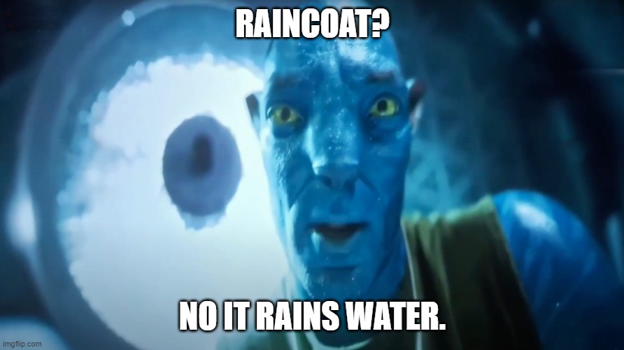 Raincoat? | RAINCOAT? NO IT RAINS WATER. | image tagged in staring avatar guy | made w/ Imgflip meme maker
