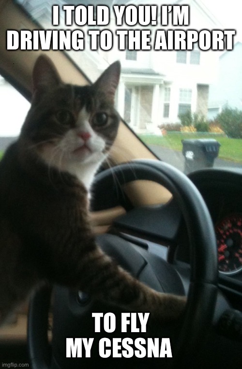 JoJo The Driving Cat | I TOLD YOU! I’M DRIVING TO THE AIRPORT TO FLY MY CESSNA | image tagged in jojo the driving cat | made w/ Imgflip meme maker