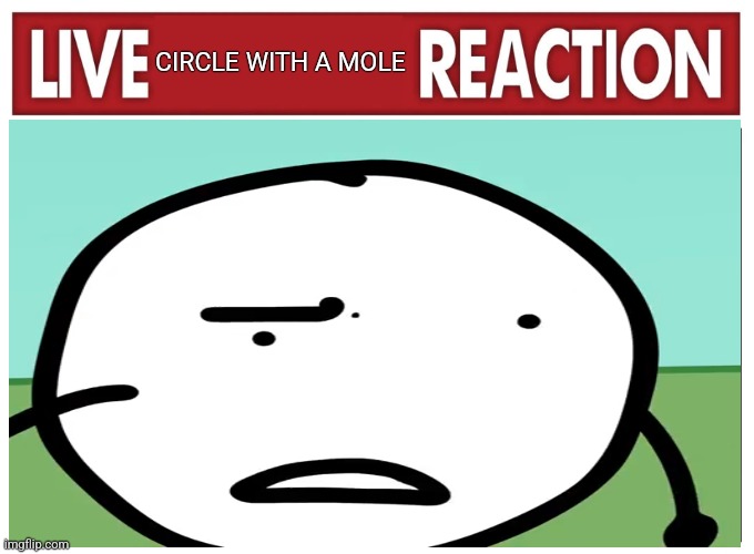 live circle with a mole reaction | CIRCLE WITH A MOLE | image tagged in live reaction | made w/ Imgflip meme maker