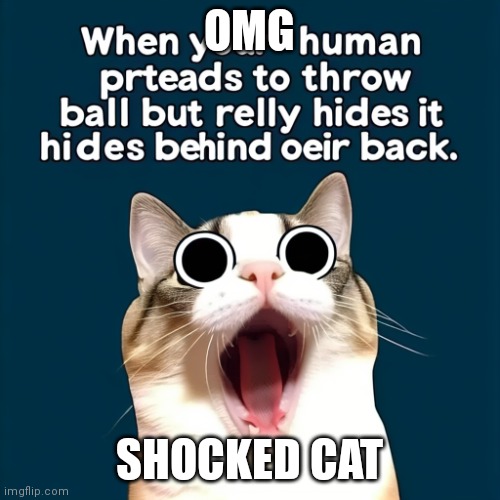 This is apparently the best meme in the world (ai generation: the funniest meme ever) | OMG; SHOCKED CAT | image tagged in the funniest meme ever | made w/ Imgflip meme maker