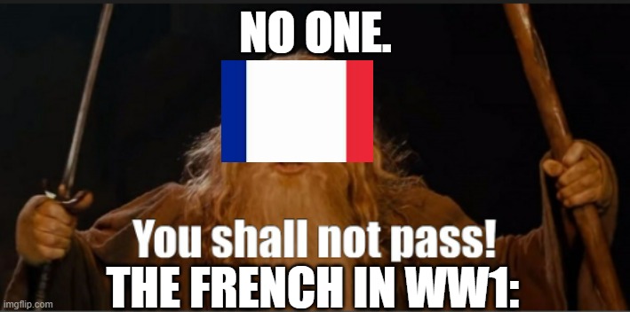 French in ww1 | NO ONE. THE FRENCH IN WW1: | image tagged in history,french,ww1 | made w/ Imgflip meme maker