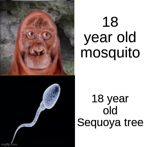 Drake Hotline Bling Meme | 18 year old mosquito 18 year old Sequoya tree | image tagged in memes,drake hotline bling | made w/ Imgflip meme maker