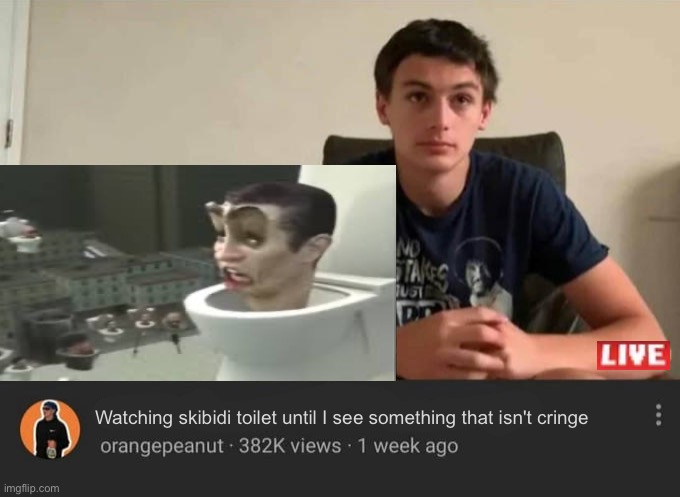 that's gonna be an infinite video | Watching skibidi toilet until I see something that isn't cringe | image tagged in blank watching until i laugh | made w/ Imgflip meme maker