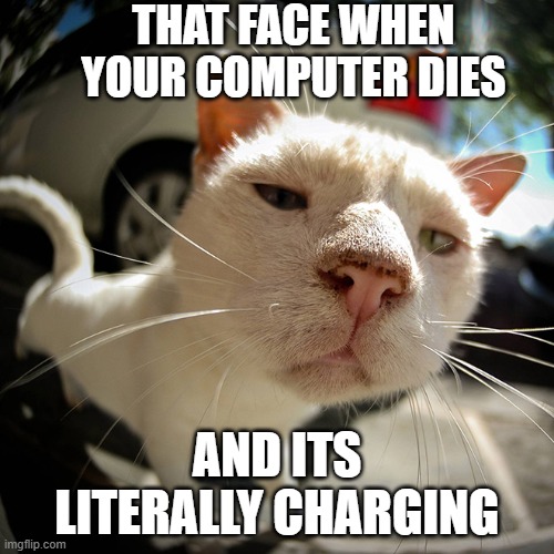 ThatFaceWhenCat | THAT FACE WHEN YOUR COMPUTER DIES; AND ITS LITERALLY CHARGING | image tagged in funny cat,that face when,confused | made w/ Imgflip meme maker