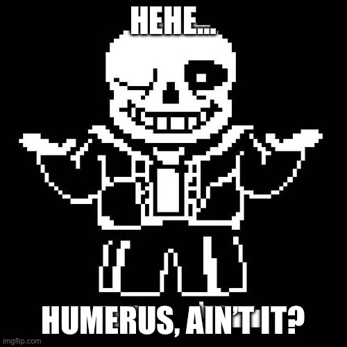 sans undertale | HEHE… HUMERUS, AIN’T IT? | image tagged in sans undertale | made w/ Imgflip meme maker