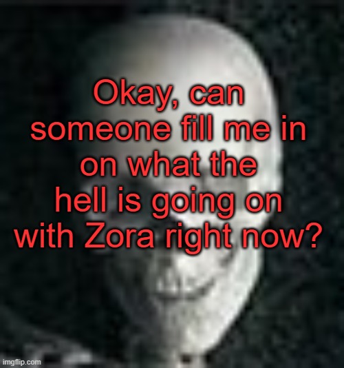 . | Okay, can someone fill me in on what the hell is going on with Zora right now? | image tagged in skull | made w/ Imgflip meme maker