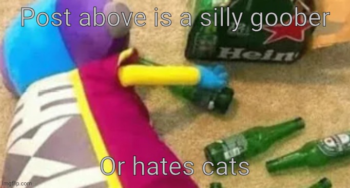 Idiot | Post above is a silly goober; Or hates cats | image tagged in idiot | made w/ Imgflip meme maker