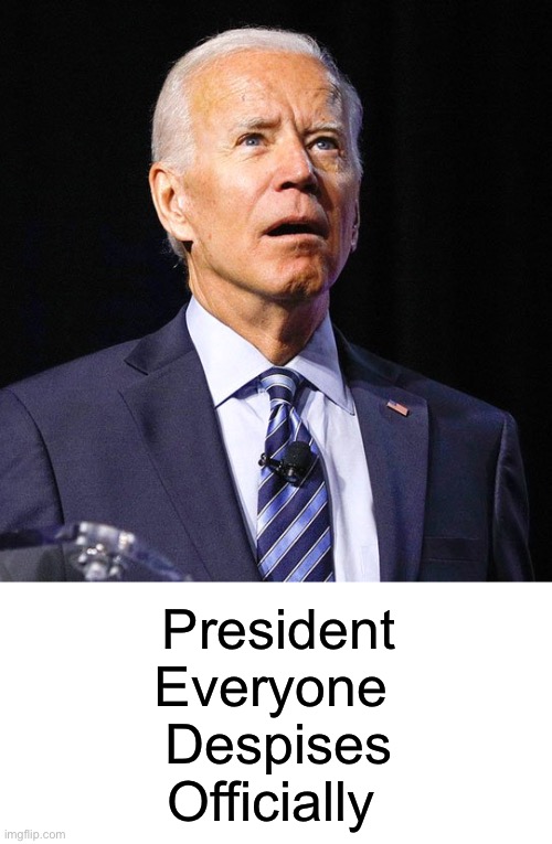 Joe Biden | President
Everyone 
Despises
Officially | image tagged in joe biden | made w/ Imgflip meme maker