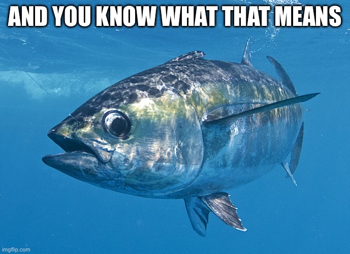 Tuna fish | AND YOU KNOW WHAT THAT MEANS | image tagged in tuna fish | made w/ Imgflip meme maker