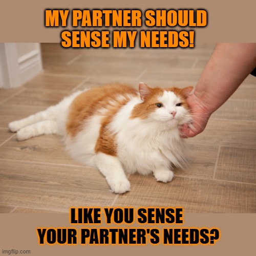 This #lolcat wonders why hoo-mans don't just talk | MY PARTNER SHOULD 
SENSE MY NEEDS! LIKE YOU SENSE 
YOUR PARTNER'S NEEDS? | image tagged in psychic,mind reading,relationships,stupid people,lolcat | made w/ Imgflip meme maker