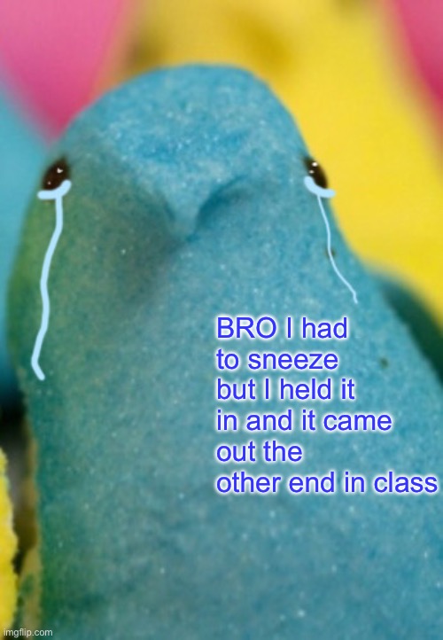 HELLPPPPP | BRO I had to sneeze but I held it in and it came out the other end in class | image tagged in majik peeps sadge | made w/ Imgflip meme maker