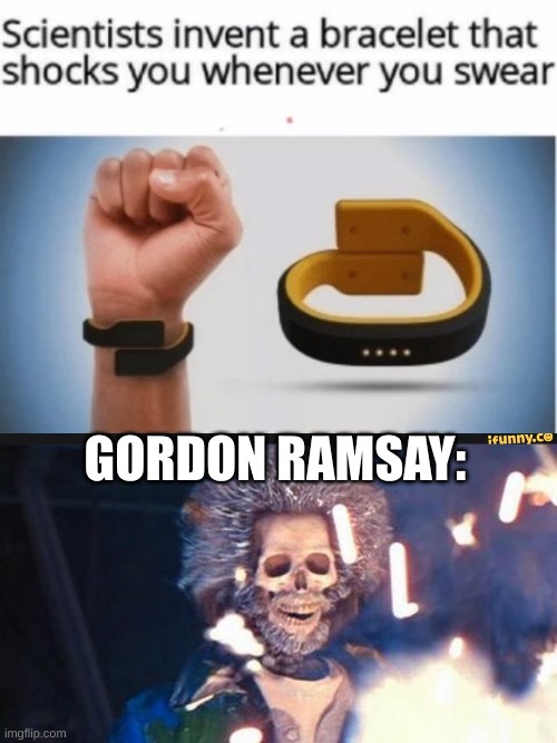 He knows what he's doing though | GORDON RAMSAY: | image tagged in daniel stern electrocuted,gordon ramsay,home alone | made w/ Imgflip meme maker