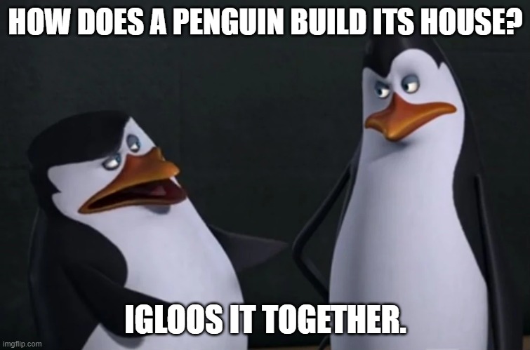 Daily Bad Dad Joke February 15, 2024 | HOW DOES A PENGUIN BUILD ITS HOUSE? IGLOOS IT TOGETHER. | image tagged in skipper and kowalski | made w/ Imgflip meme maker
