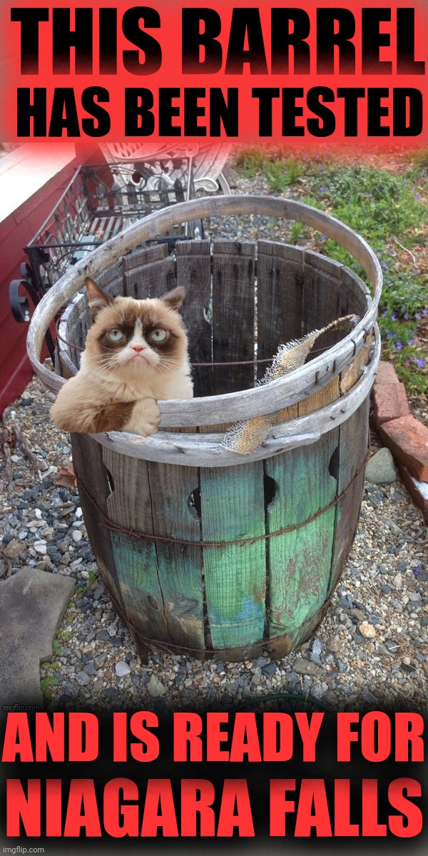 Grumpy Cat Barrel | THIS BARREL; HAS BEEN TESTED; AND IS READY FOR; NIAGARA FALLS | image tagged in grumpy cat barrel,okay get in,ok get in | made w/ Imgflip meme maker