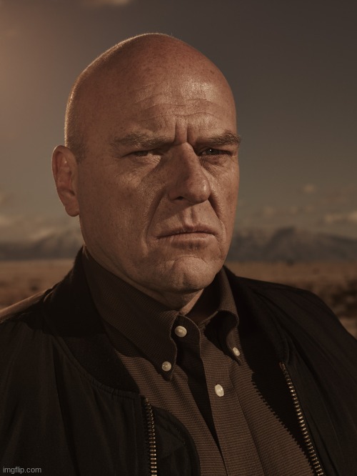 Hank Schrader - Breaking Bad - Dean Norris | image tagged in hank schrader - breaking bad - dean norris | made w/ Imgflip meme maker