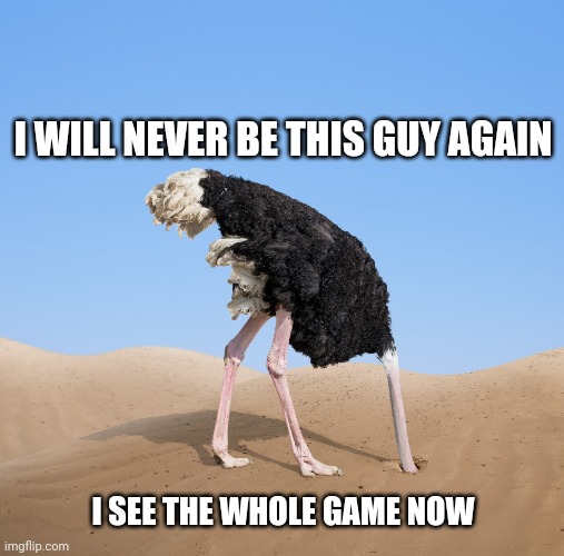 Ostrich Head in Sand | I WILL NEVER BE THIS GUY AGAIN I SEE THE WHOLE GAME NOW | image tagged in ostrich head in sand | made w/ Imgflip meme maker