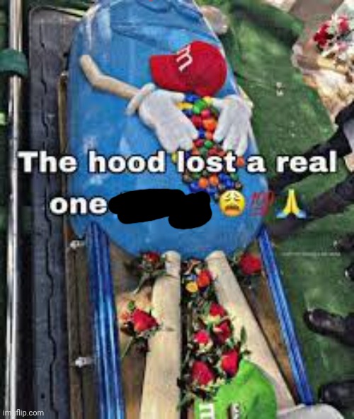 The hood lost a real one today | image tagged in the hood lost a real one today | made w/ Imgflip meme maker