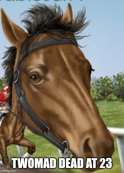 Big horse | TWOMAD DEAD AT 23 | image tagged in big horse | made w/ Imgflip meme maker
