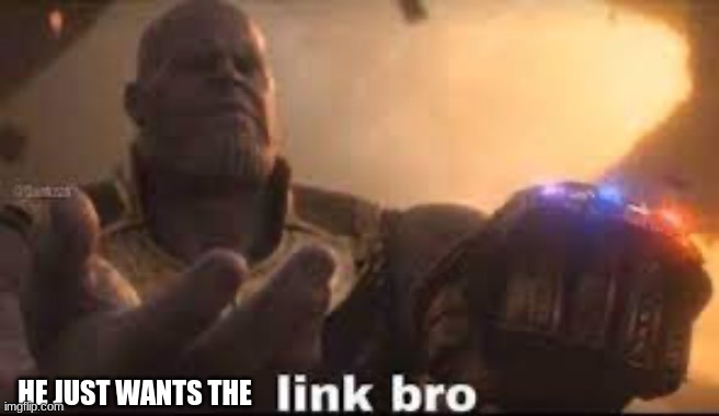 link bro | HE JUST WANTS THE | image tagged in link bro | made w/ Imgflip meme maker