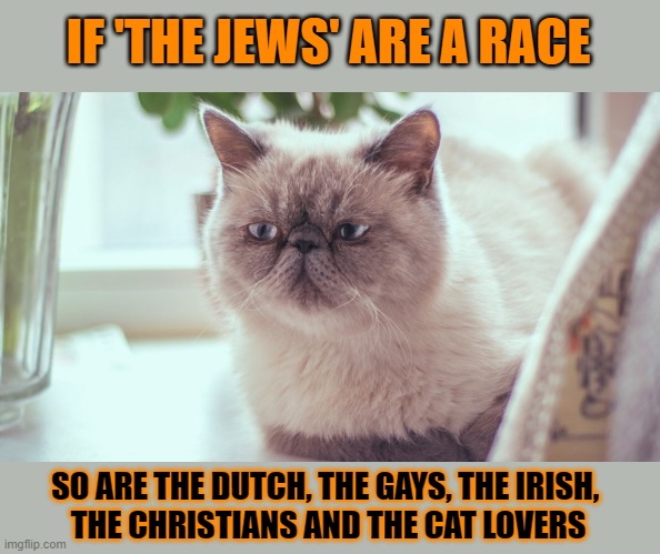 This #lolcat wonders what constitutes 'a race' | IF 'THE JEWS' ARE A RACE; SO ARE THE DUTCH, THE GAYS, THE IRISH, 
THE CHRISTIANS AND THE CAT LOVERS | image tagged in racism,lolcat,think about it,jewish,zionists | made w/ Imgflip meme maker