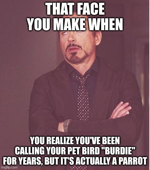 Burdie is a parrot actually | THAT FACE YOU MAKE WHEN; YOU REALIZE YOU'VE BEEN CALLING YOUR PET BIRD "BURDIE" FOR YEARS, BUT IT'S ACTUALLY A PARROT | image tagged in memes,face you make robert downey jr,youtuber,parrot | made w/ Imgflip meme maker