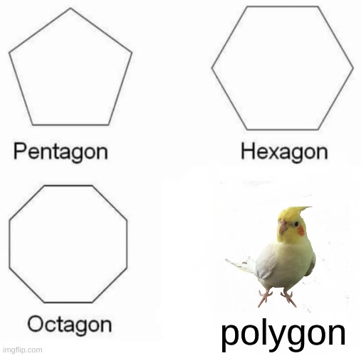 birb memes are heavily underrated | polygon | image tagged in memes,pentagon hexagon octagon | made w/ Imgflip meme maker