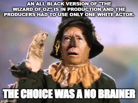 biden the scarecrow | AN ALL BLACK VERSION OF "THE WIZARD OF OZ" IS IN PRODUCTION AND THE PRODUCERS HAD TO USE ONLY ONE WHITE ACTOR. THE CHOICE WAS A NO BRAINER | image tagged in biden the scarecrow | made w/ Imgflip meme maker