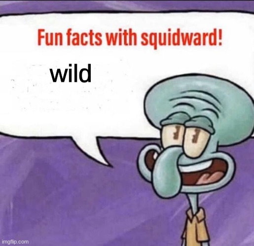 Fun Facts with Squidward | wild | image tagged in fun facts with squidward | made w/ Imgflip meme maker