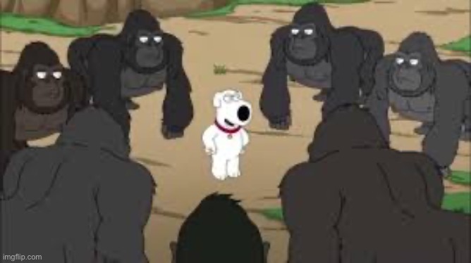 Caption this | image tagged in brian in the gorilla pit | made w/ Imgflip meme maker