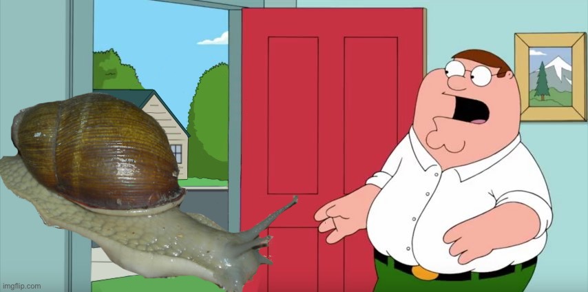 Holy crap lois its the snail that made us immortal but can kill us if we touch it | image tagged in holy crap lois its x | made w/ Imgflip meme maker